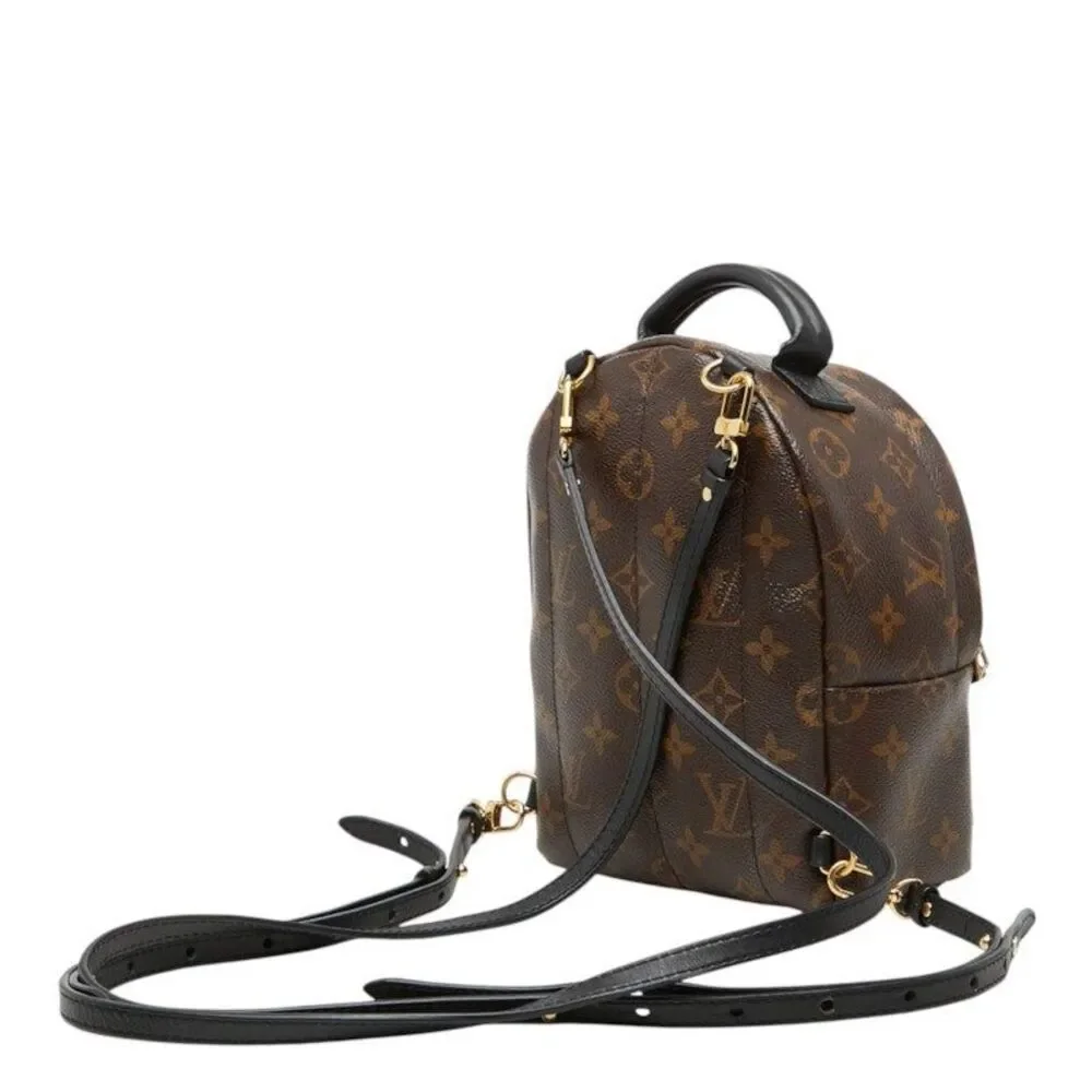 Louis Vuitton Palm Springs Mini Monogram Backpack